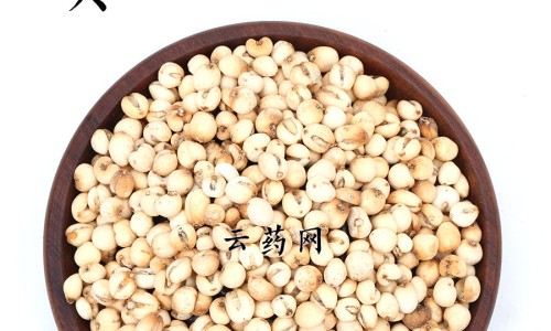 蓝莓水果茶功效与作用-蓝莓水果茶功效作用,中国蓝莓水果茶功效网站